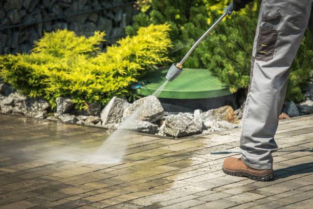 Best Soft Washing  in Citrus Hills, FL